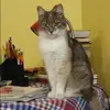 Отзыв от Алена Галкина